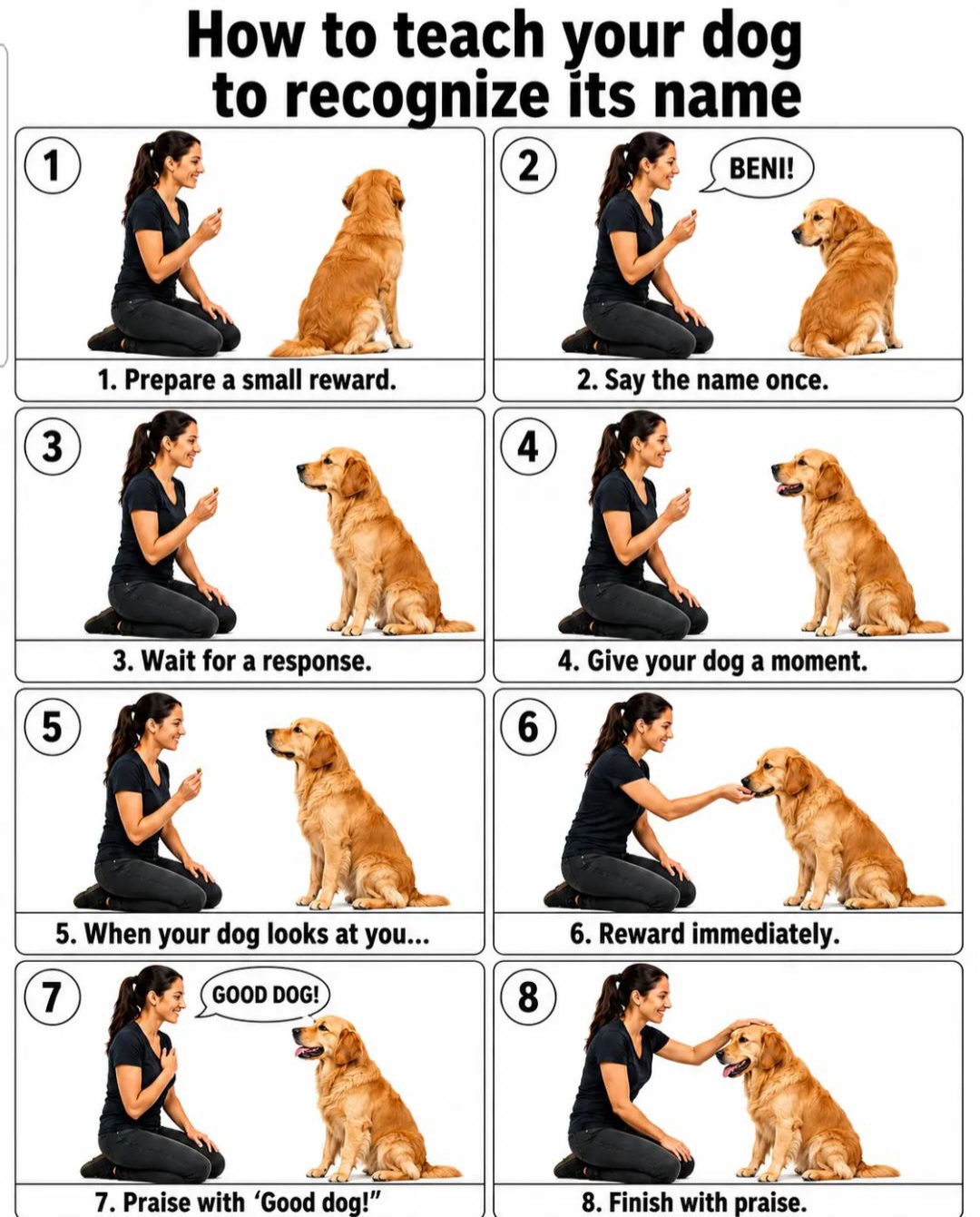DogCare visual training guide for teaching a dog its name